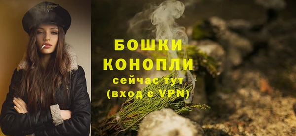 метадон Гусев