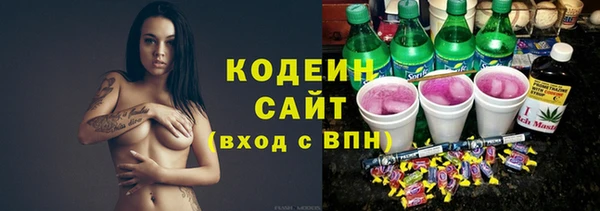 метадон Гусев