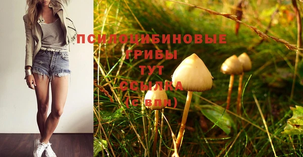 мефедрон мука Гусь-Хрустальный