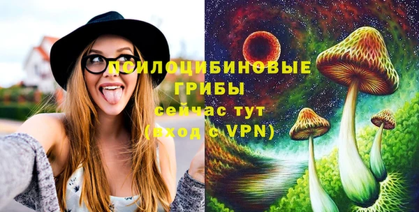 метадон Гусев