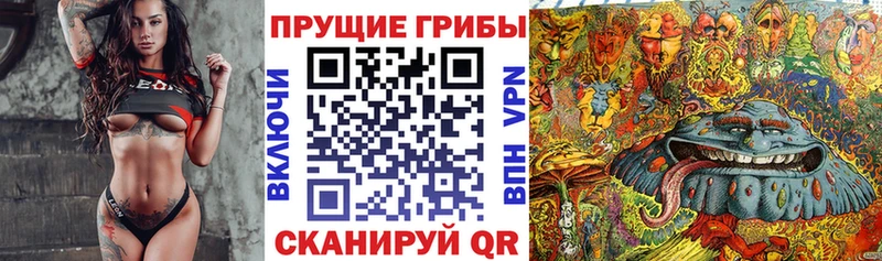 Псилоцибиновые грибы MAGIC MUSHROOMS  Купить закладки  Луховицы 